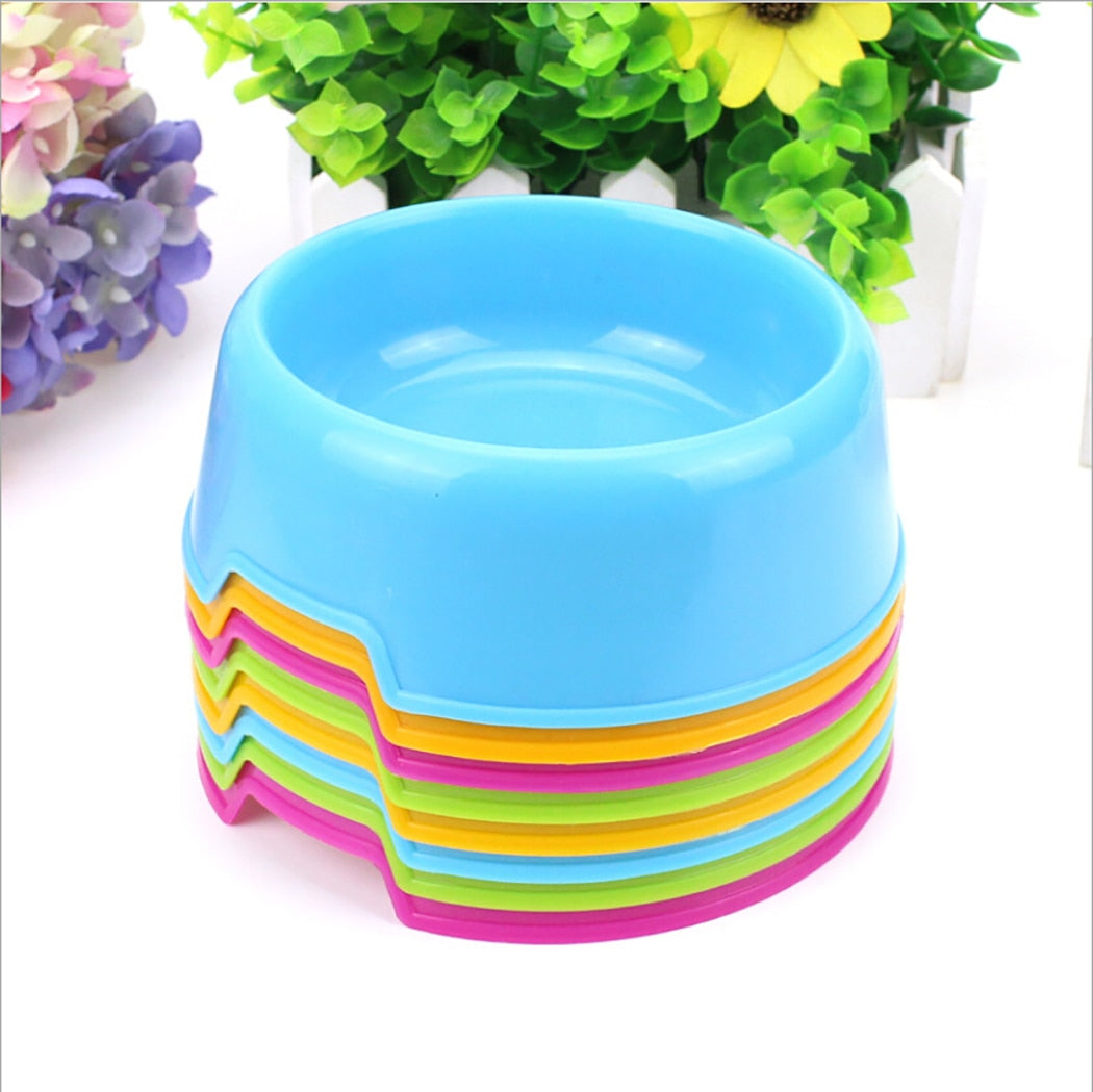 Candy Colored Kitty Bowl