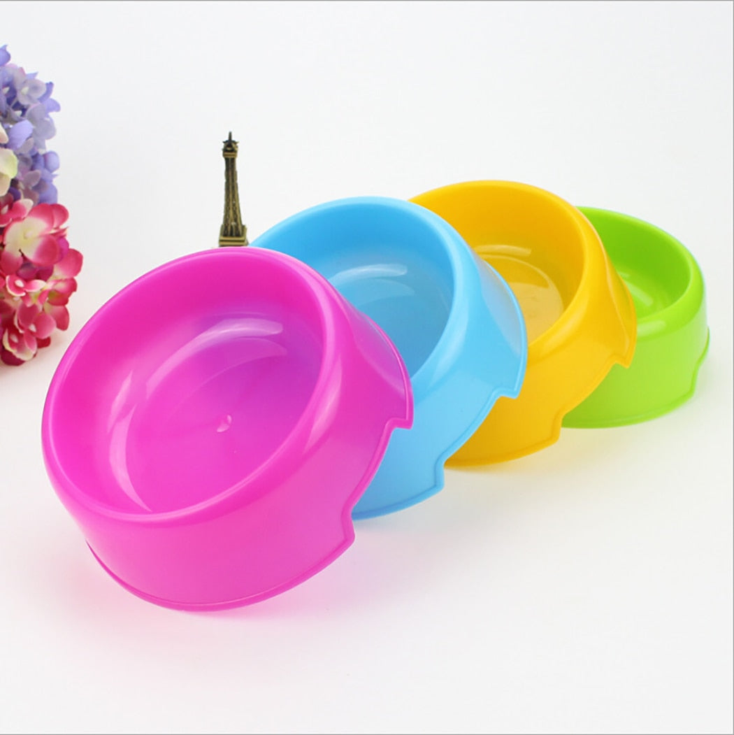 Candy Colored Kitty Bowl