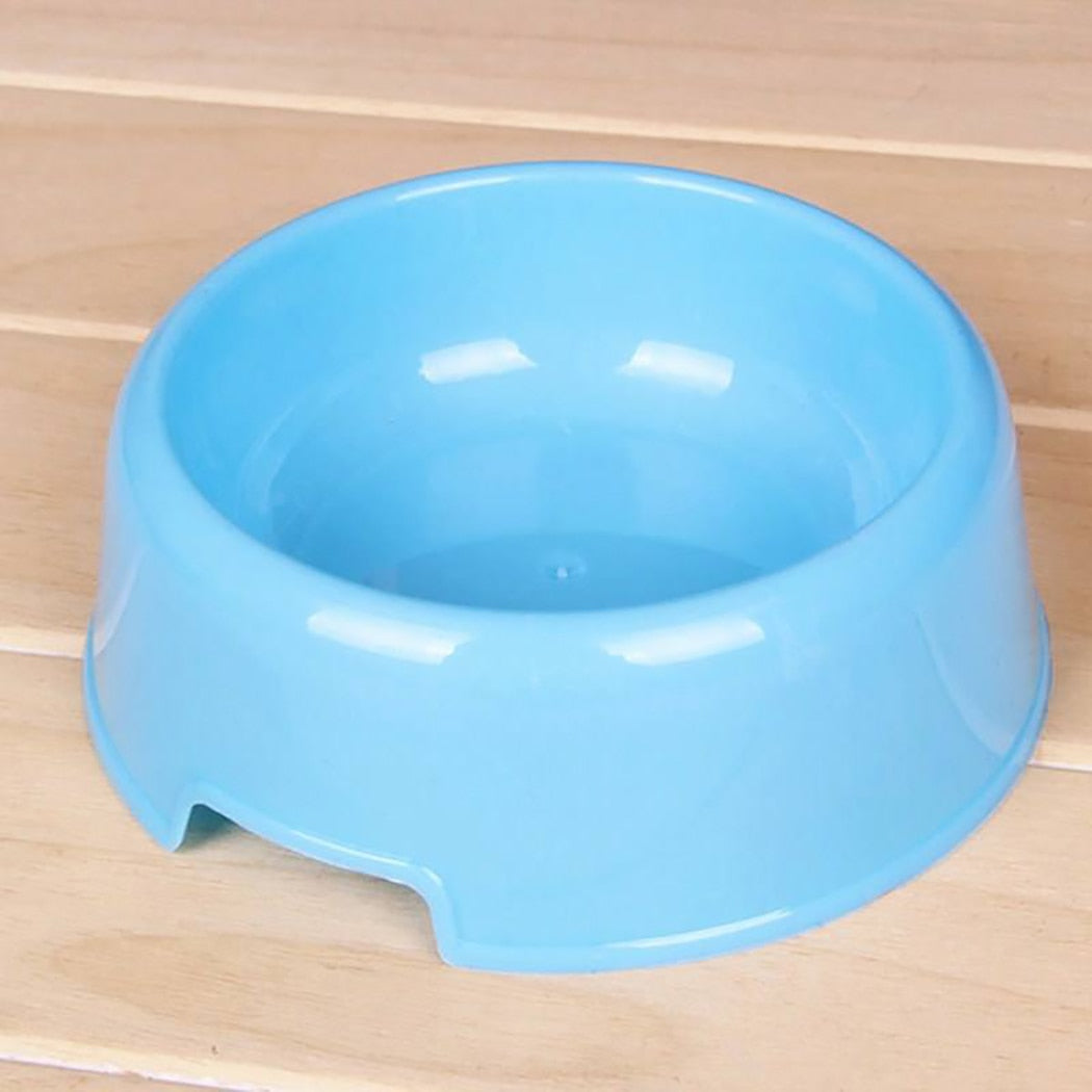 Candy Colored Kitty Bowl