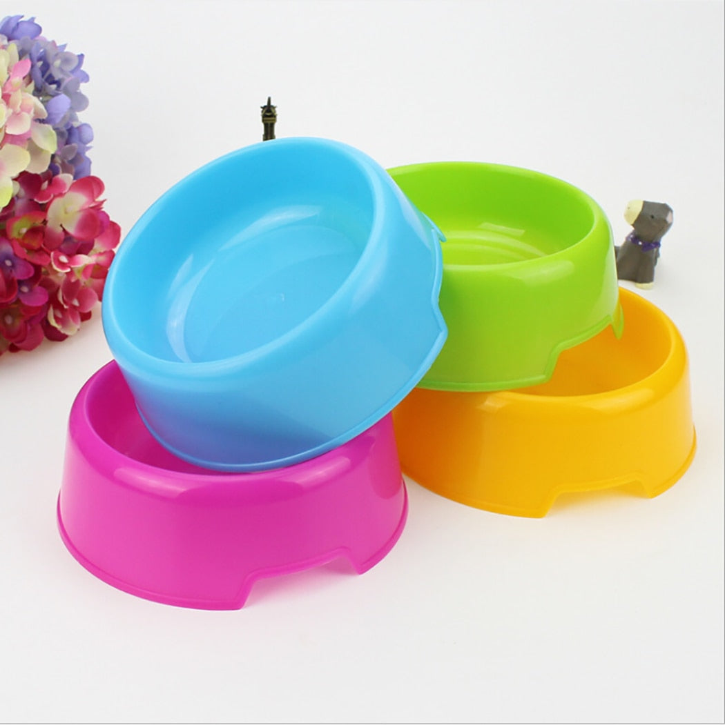 Candy Colored Kitty Bowl