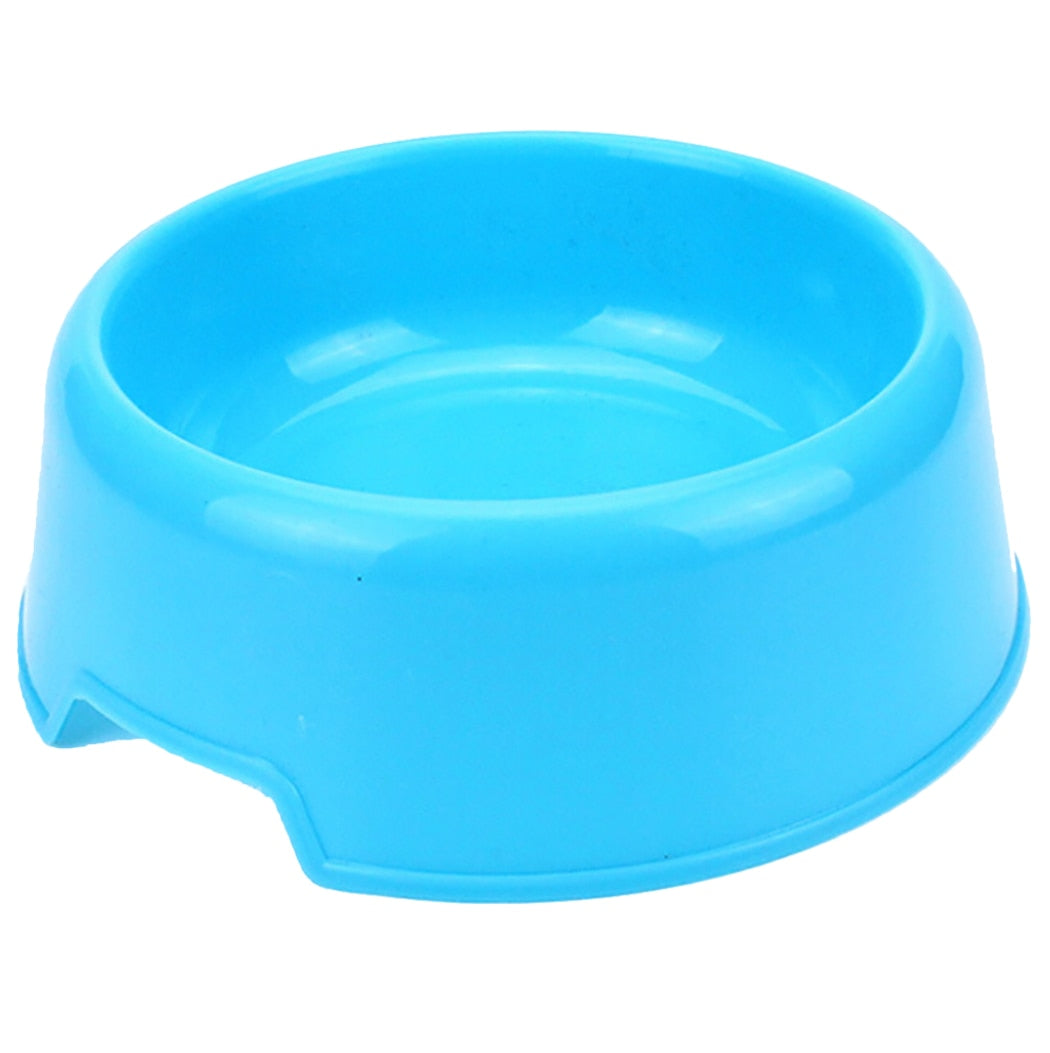 Candy Colored Kitty Bowl